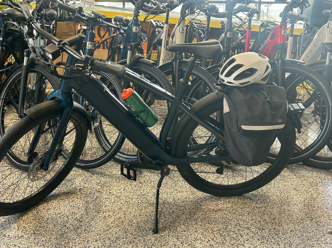 Reckless Shipyards eBikes, Skis & More-北温哥华必去景点