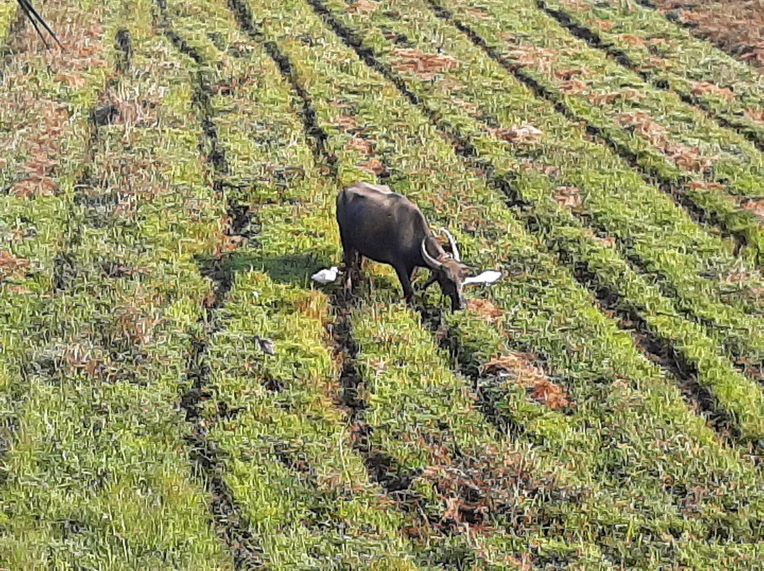 Mariners Bay Resort主图