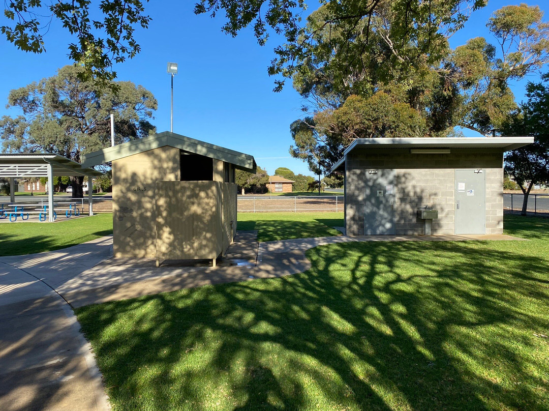 Deniliquin Water Tower Mural-Deniliquin必去景点