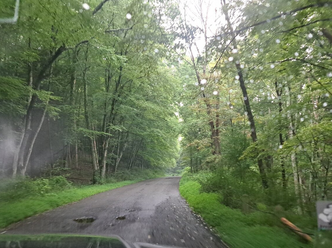 Delaware Water Gap National Recreation Area景点图片
