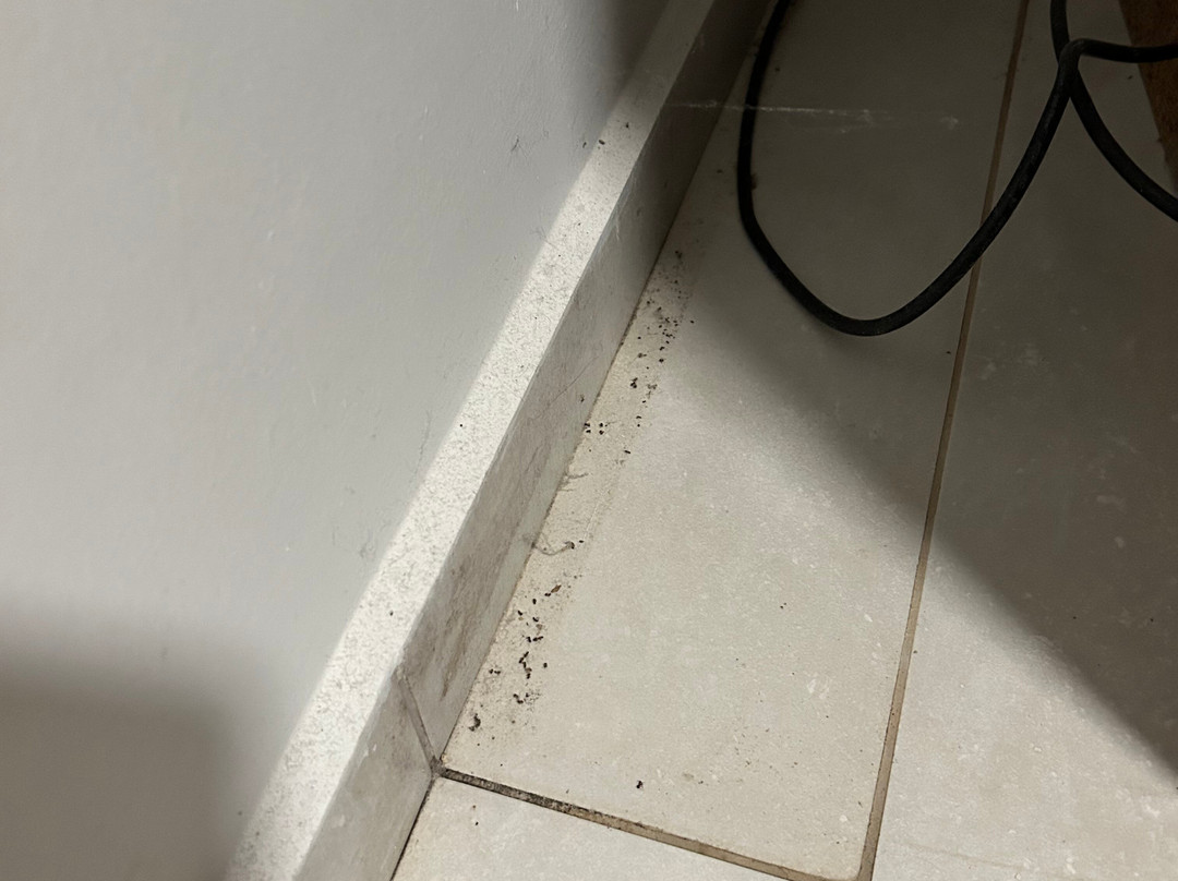 Golden Mare Resort主图