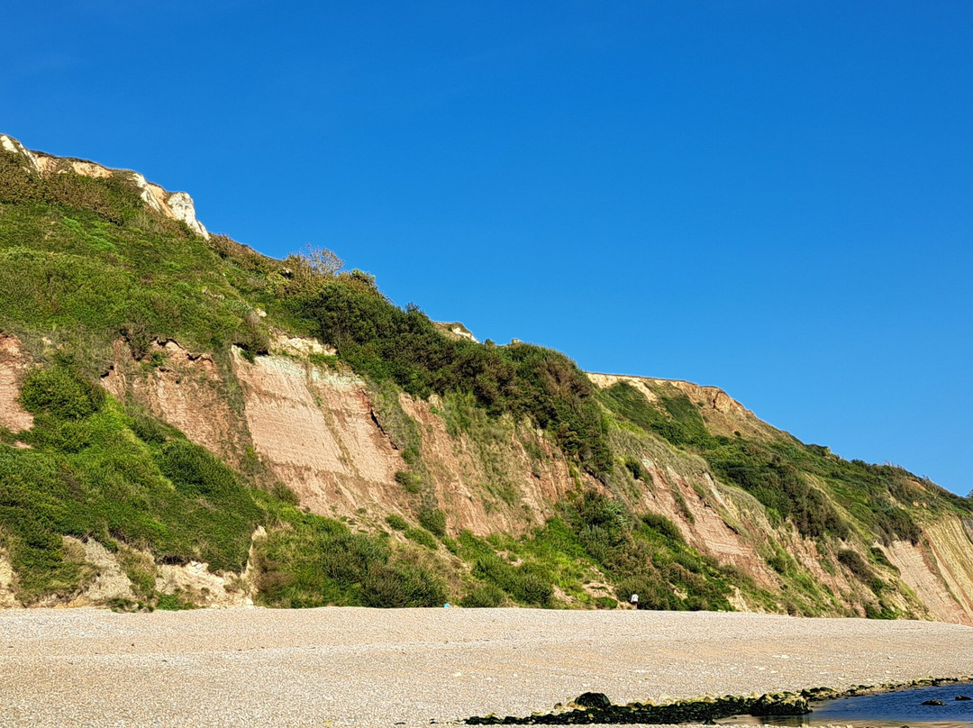 Haven Cliffs