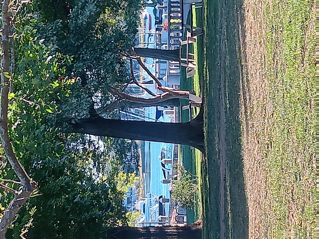 Waterfront Park景点图片