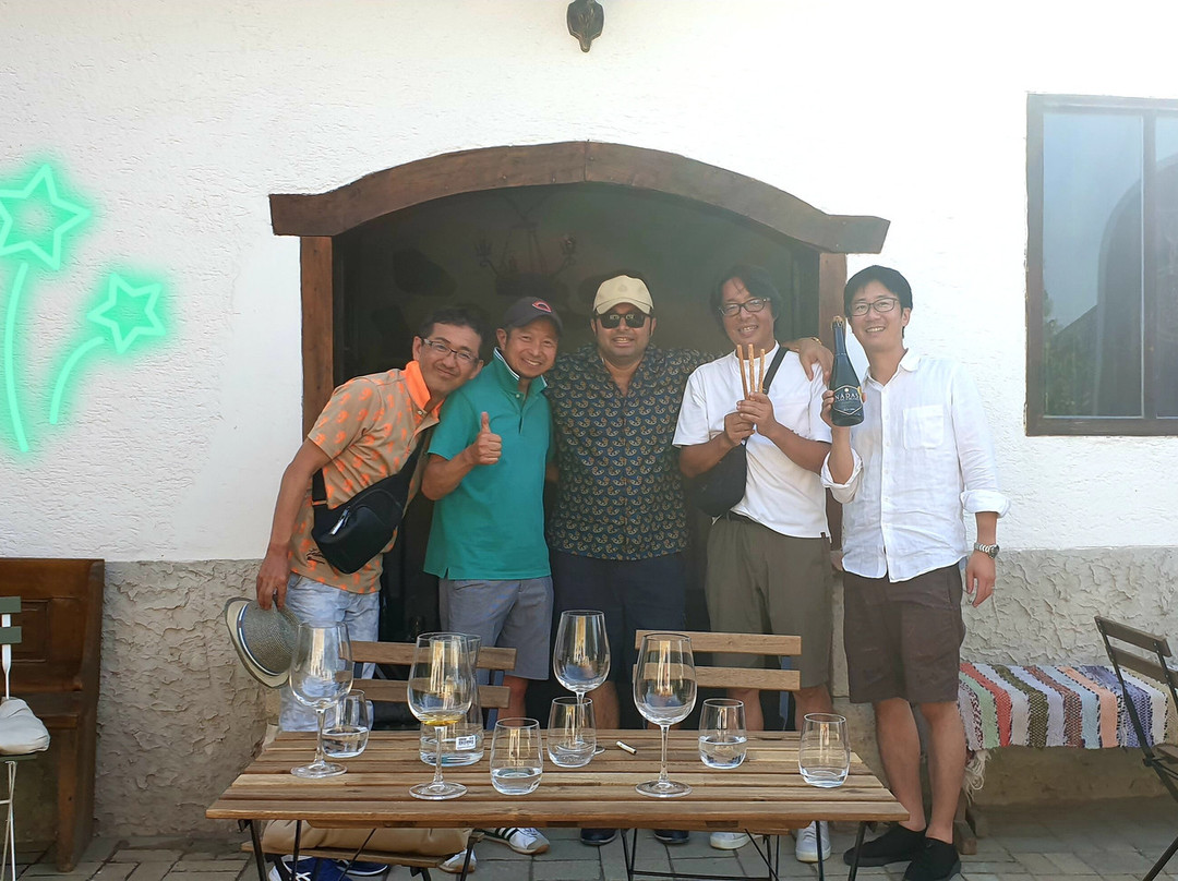 Zafir Winehouse景点图片
