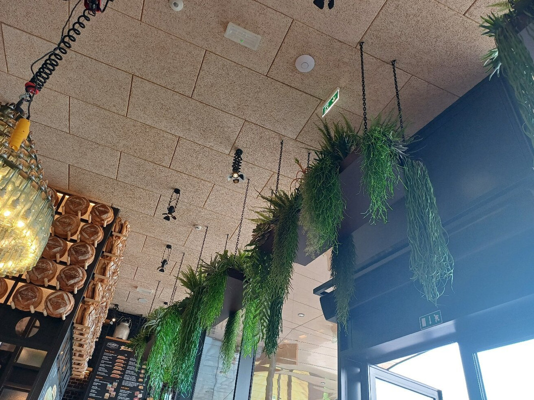 San Marino Outlet Experience-Falciano必去景点