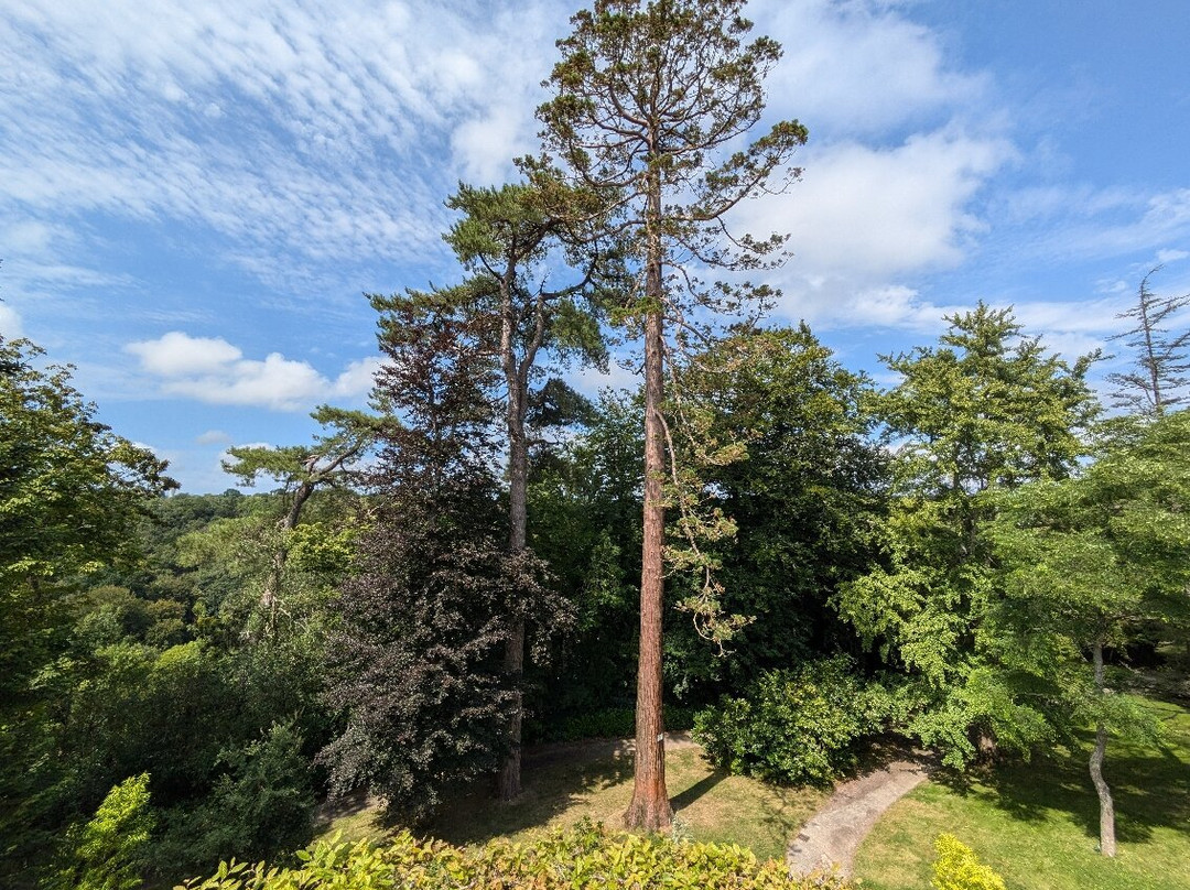 Jardin des plantes de Coutances景点图片
