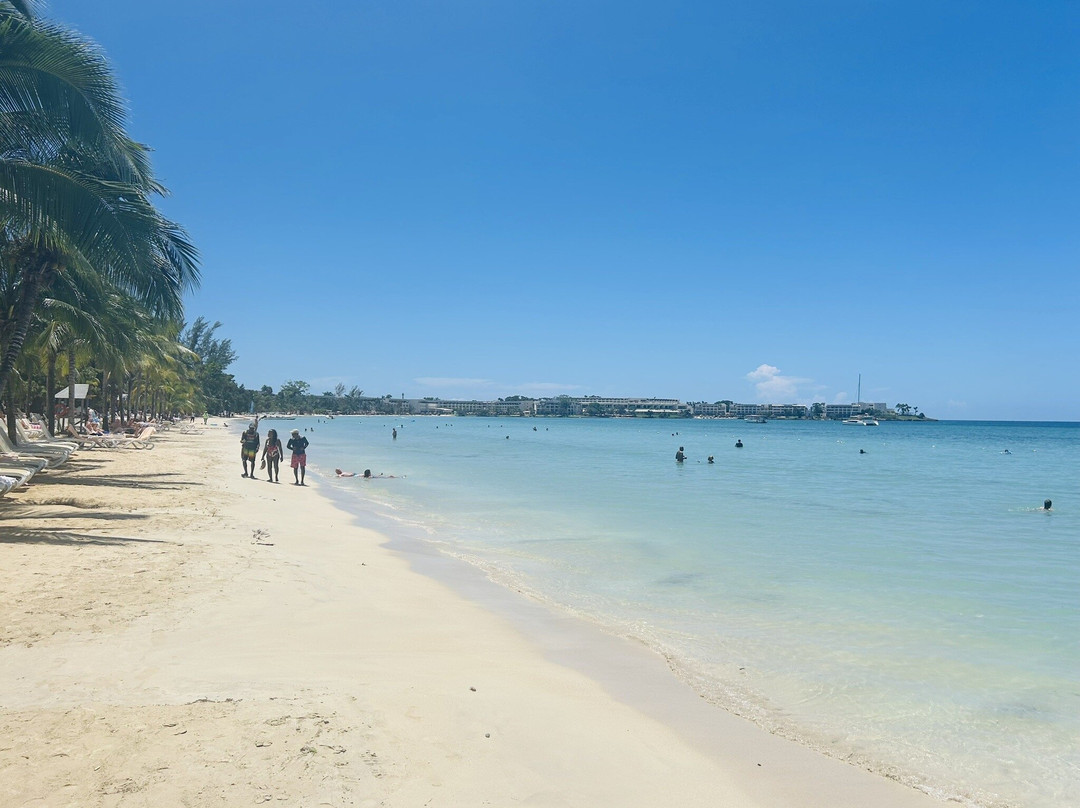 Amity Tours and Transfer-蒙特戈贝必去景点
