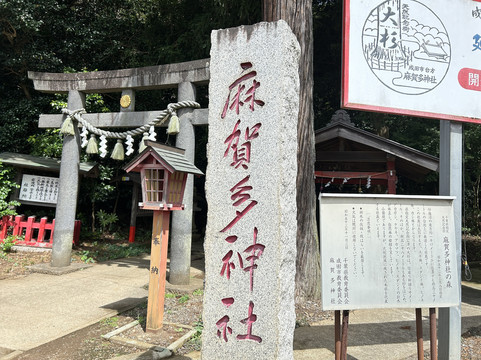 Narita Code-成田市必去景点