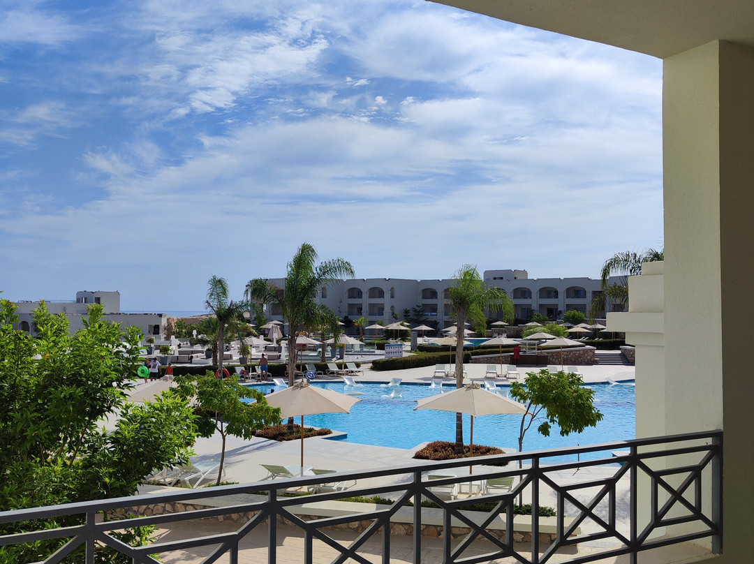 Cleopatra Sidi Heneish主图