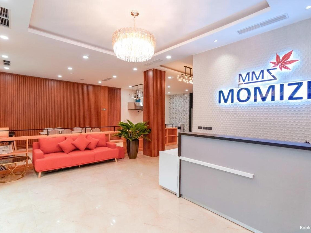 Momizi Hotel Hai Phong主图