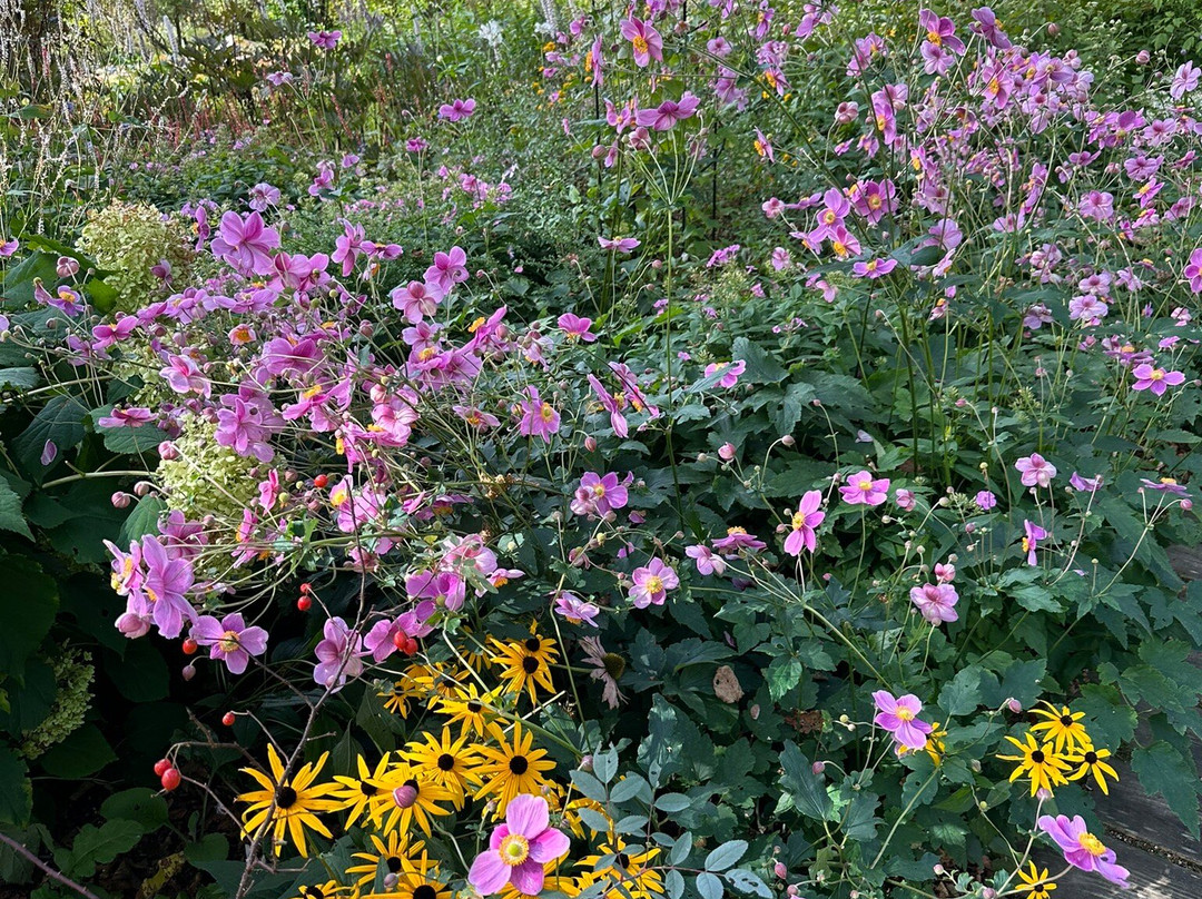 Oyuki Morino Garden-上川町必去景点