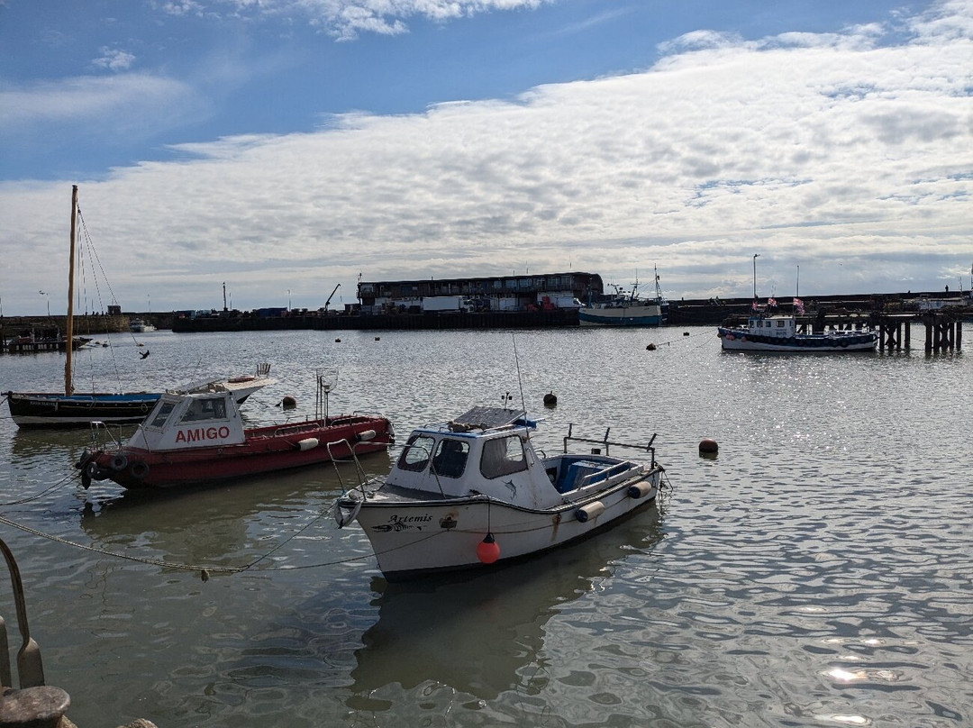Bridlington Harbour-布里德灵顿必去景点