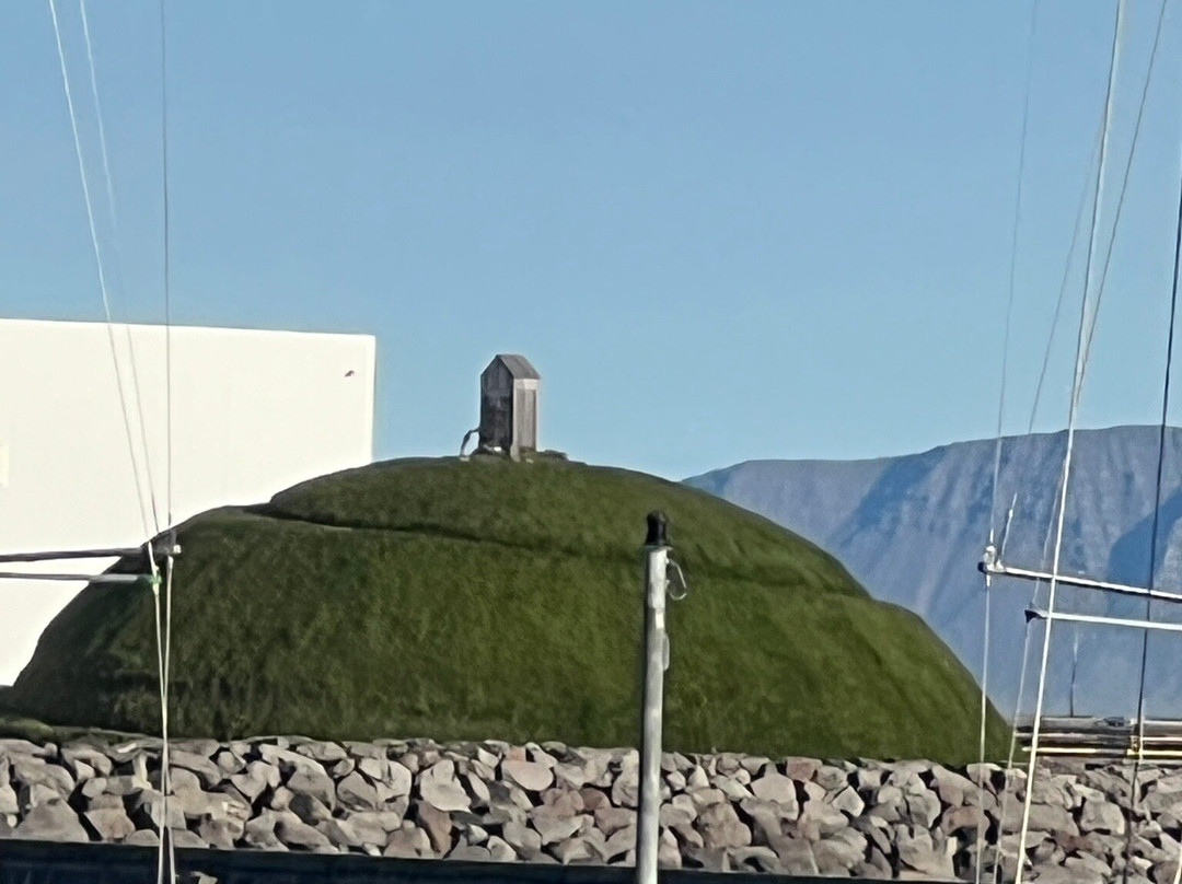 Thufa (þúfa)-雷克雅未克必去景点