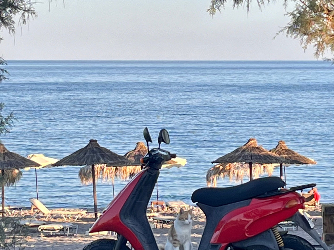 Afandou Beach景点图片