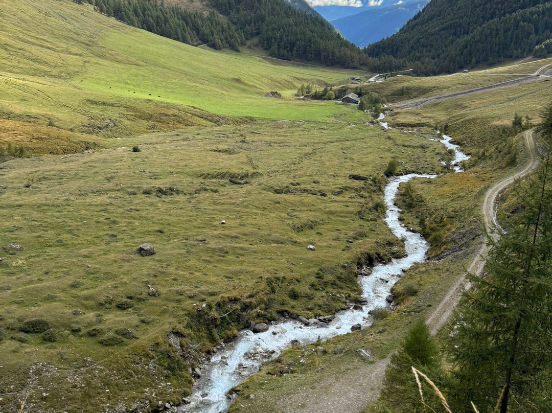 Hotel Alpenrose主图