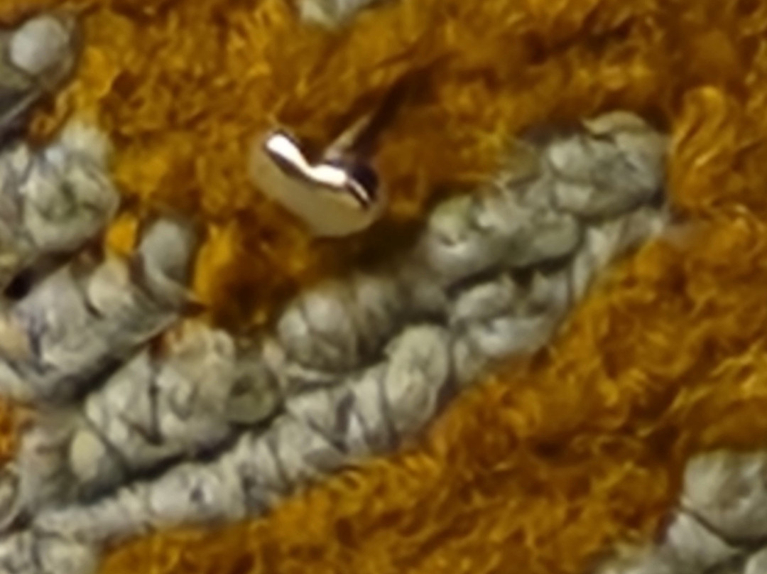 Comfort Inn & Suites Brattleboro I-91主图