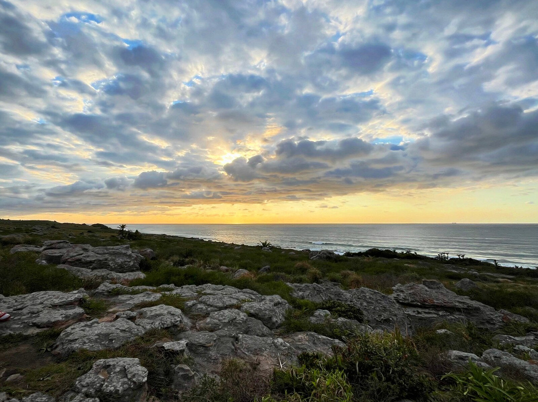 The Wild Walk with Singletrack Adventures-Mbotyi必去景点