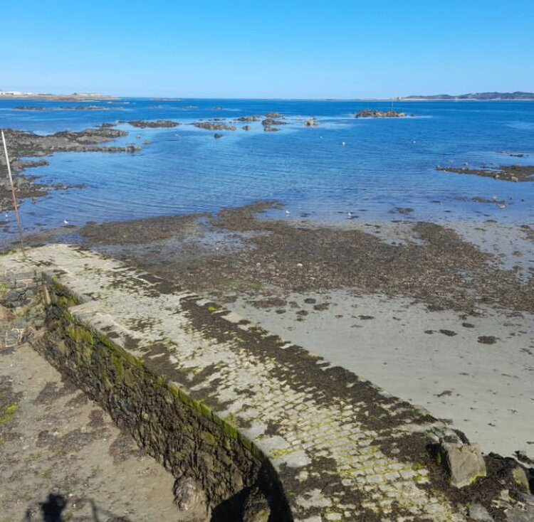 Guernsey Seaweed Foraging Tours