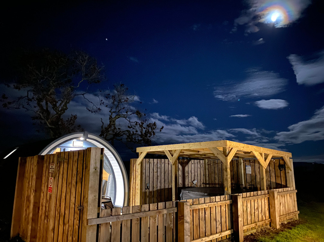 Timber Valley Pods