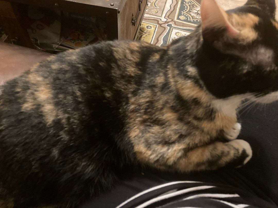 Colorado Canyon-博蒙特必去景点