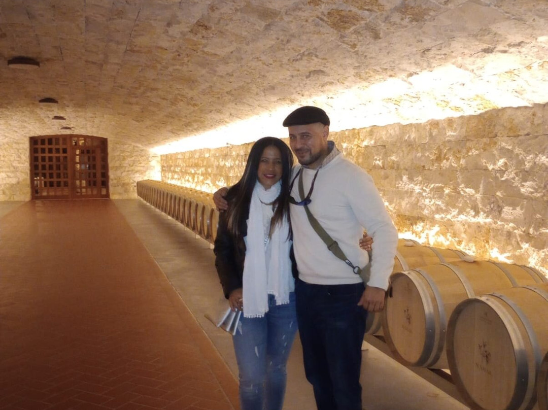 Bodegas Nabal景点图片