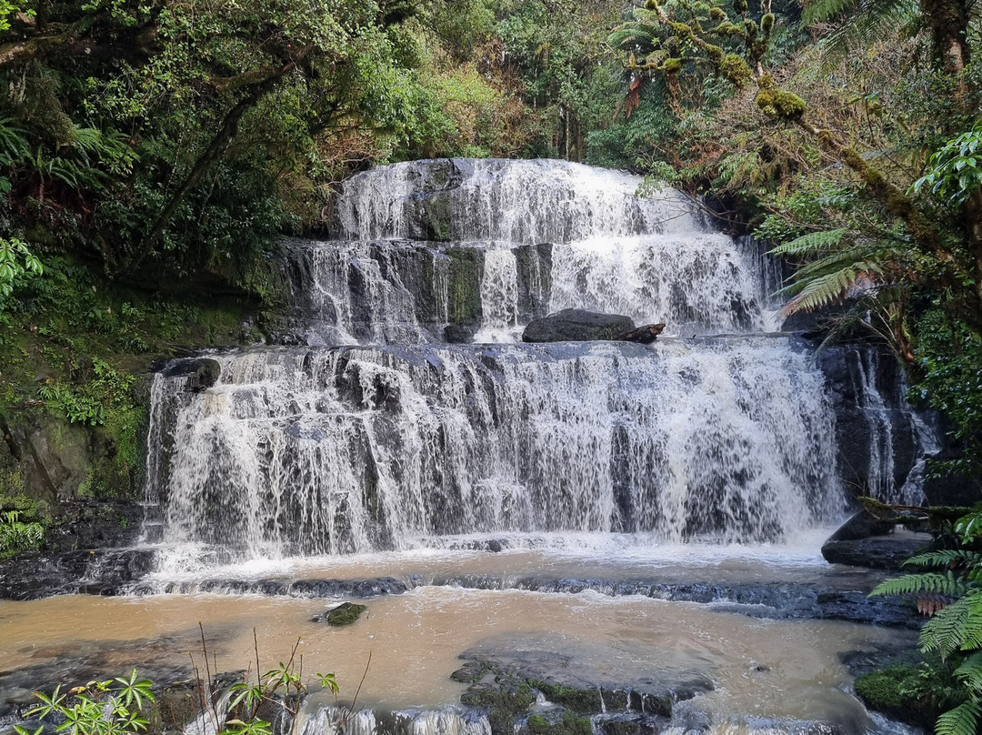 Purakaunui Falls景点图片
