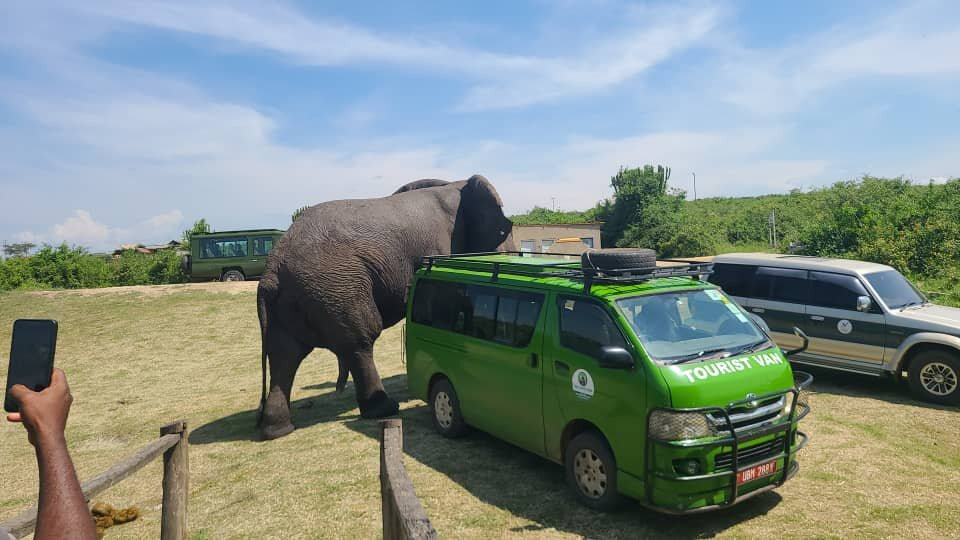 Gorilla Safaris Uganda Travel-坎帕拉必去景点