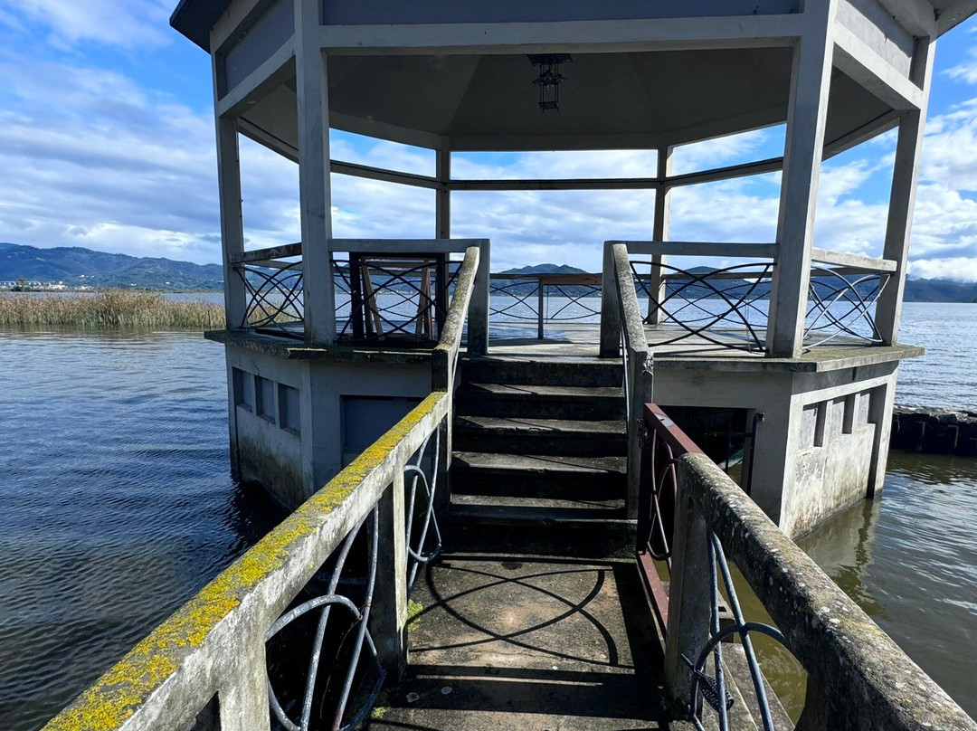 Lake Massaciuccoli景点图片