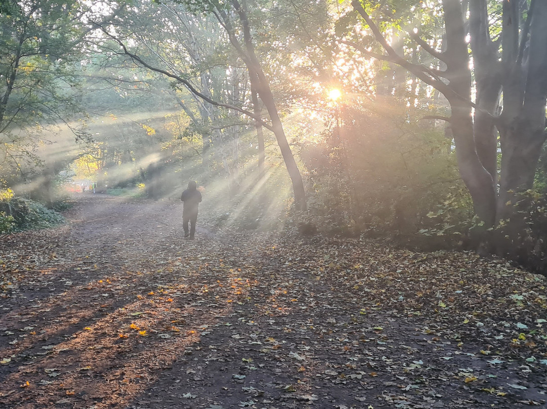 The Parkland Walk-Crouch End必去景点