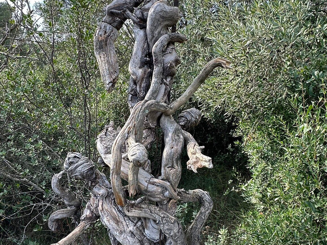 Jardin Antique Méditérranéen景点图片