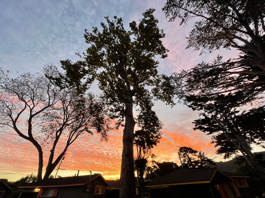 卡梅尔河旅馆主图