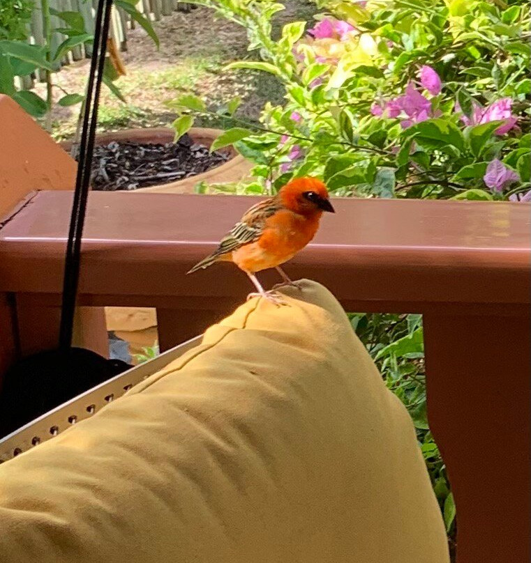 卡萨德里拉自助旅馆主图