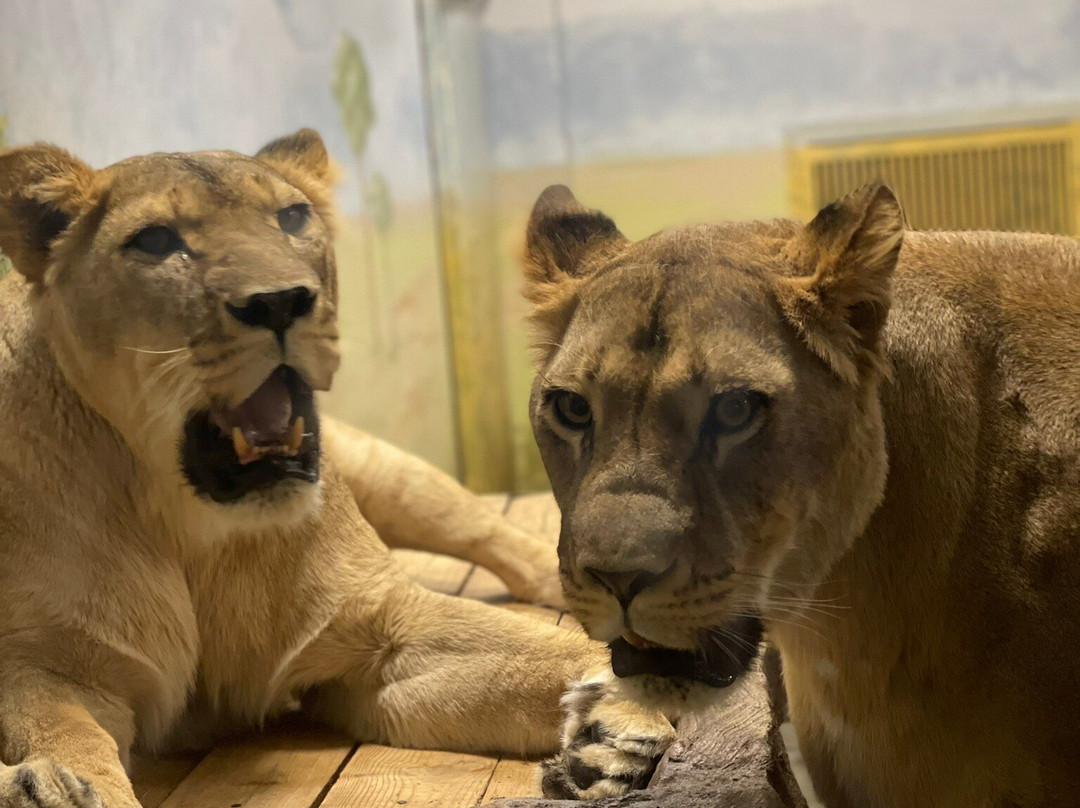 Yekaterinburgskiy Zoopark景点图片