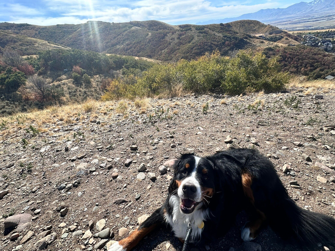 Wild Rose Trailhead Park景点图片