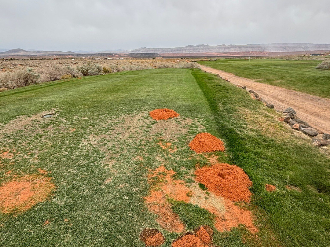 The Golf Course At Sand Hollow Resort-哈里肯必去景点