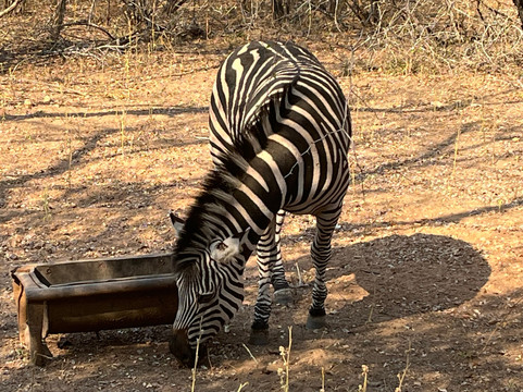 Thula Seats-白河必去景点