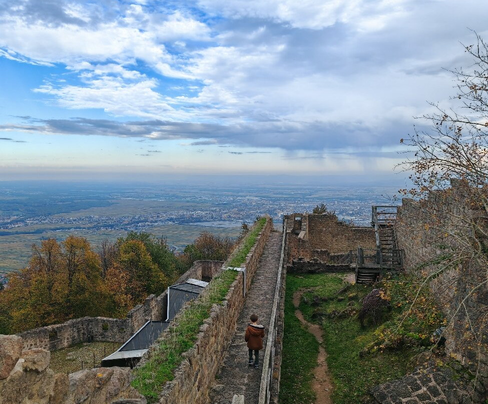 Château du Hohlandsbourg景点图片
