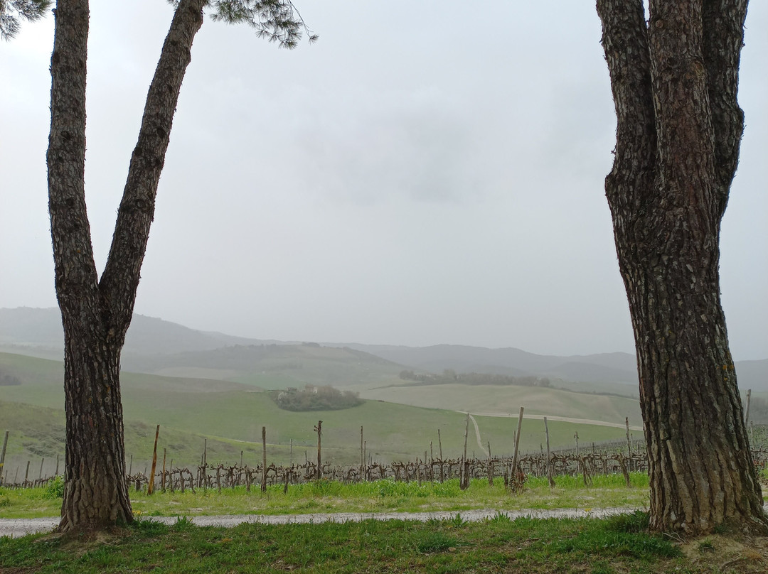 Via Francigena Tappa 35 Ponte d'Arbia - San Quirico d'Orcia景点图片