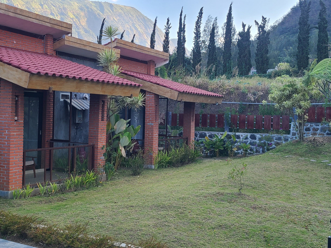 Bromo Terrace Hotel & Resto主图