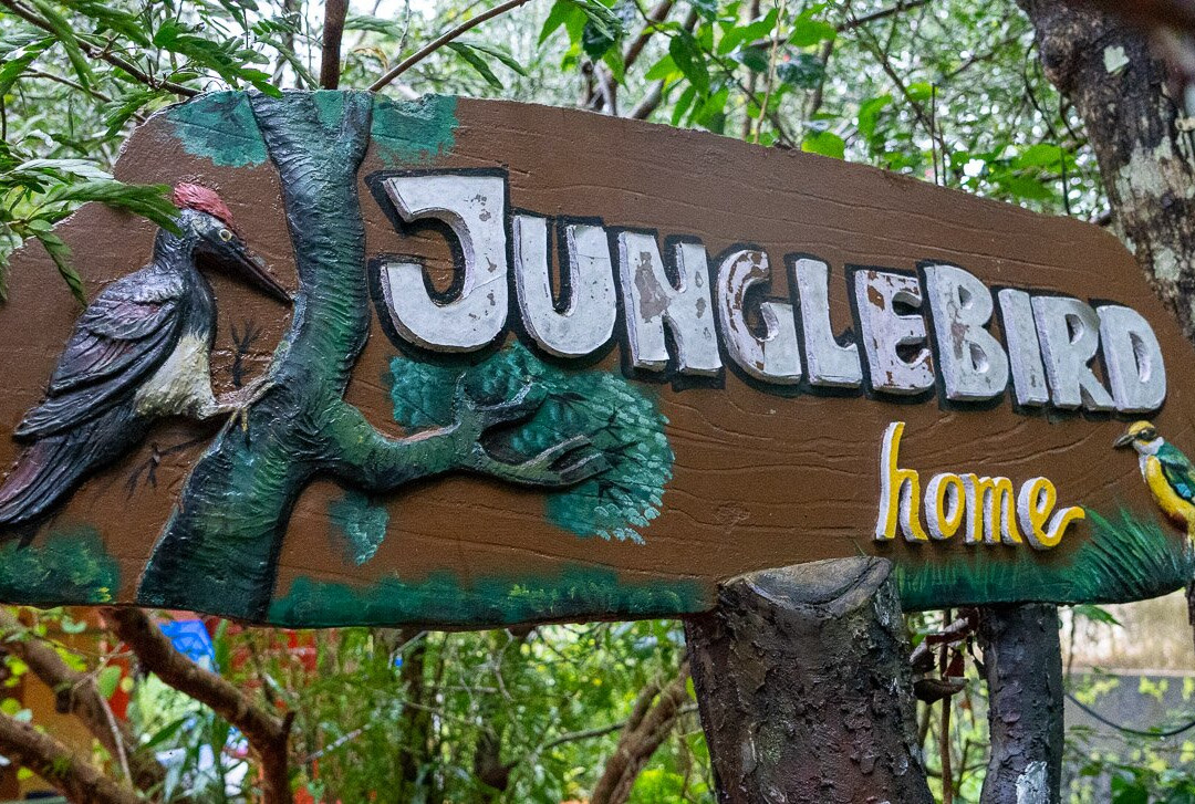 Jungle Bird Homestay主图