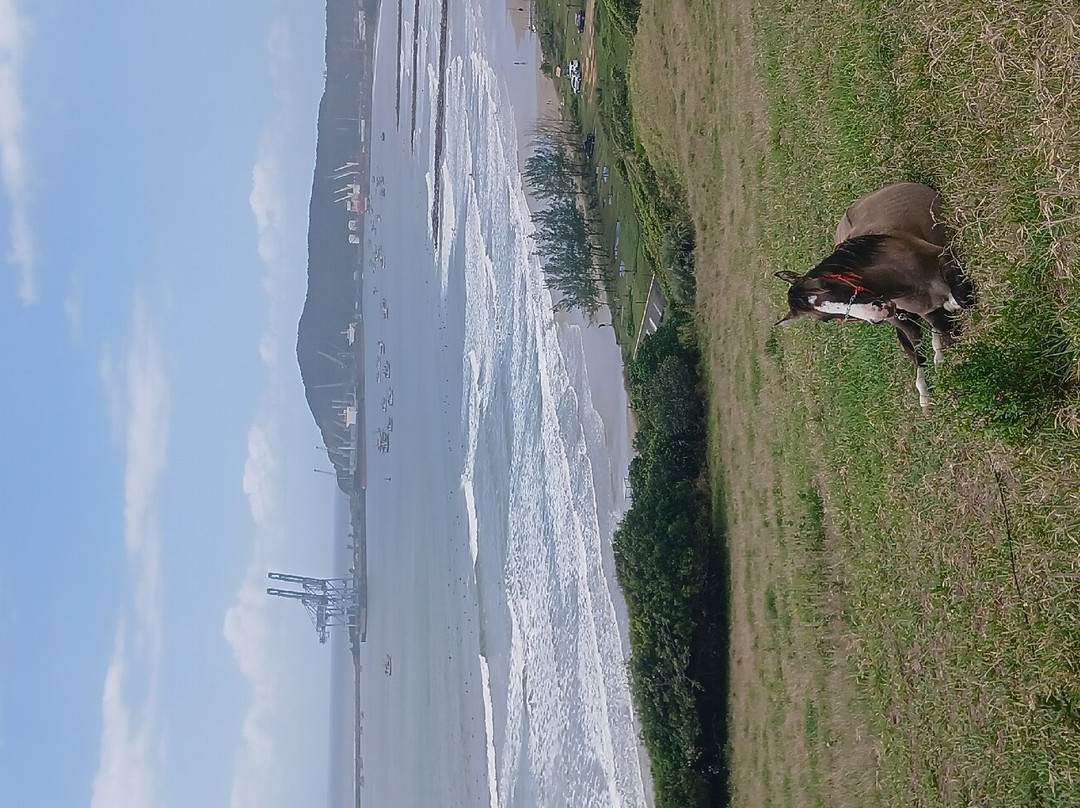 Porto Beach (Imbituba do Norte)-Imbituba必去景点
