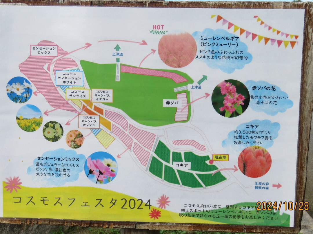 万博纪念公园-吹田市必去景点