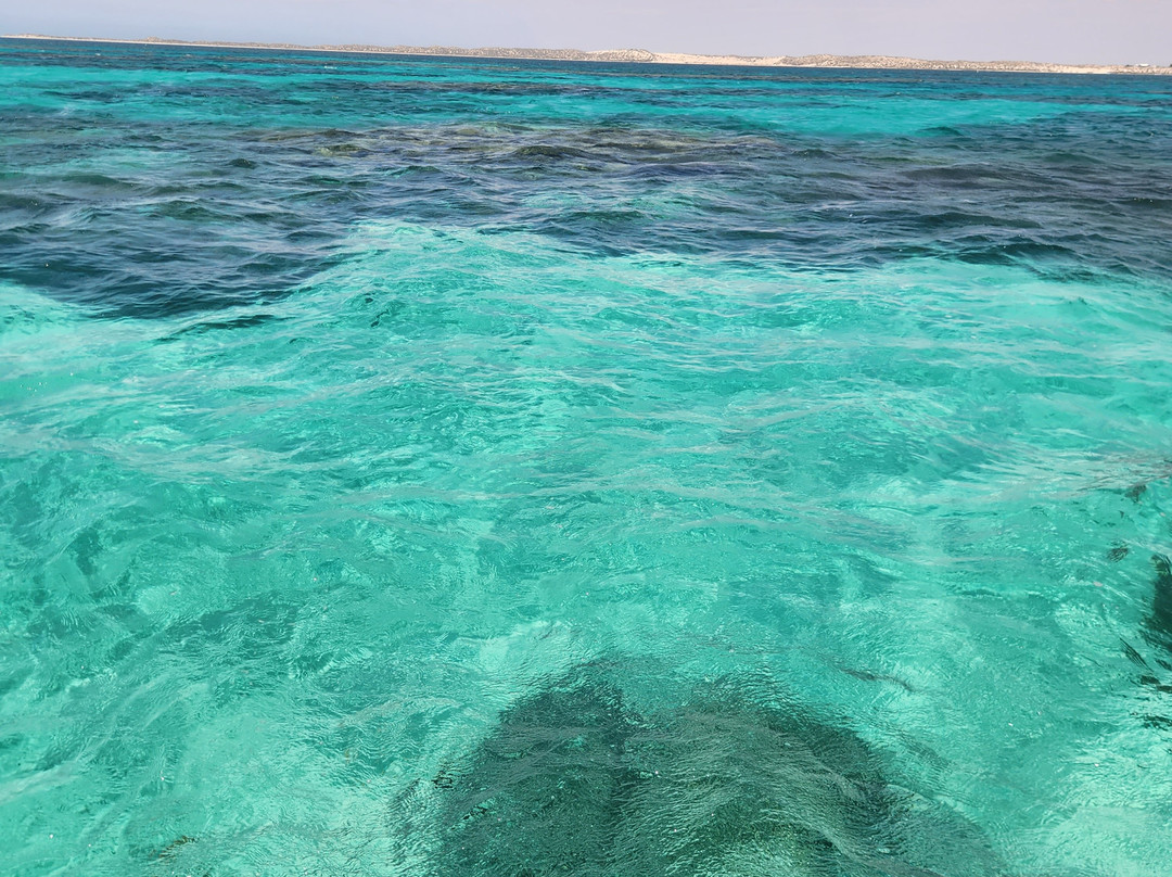 Coral Breeze Cruises-珊瑚湾必去景点