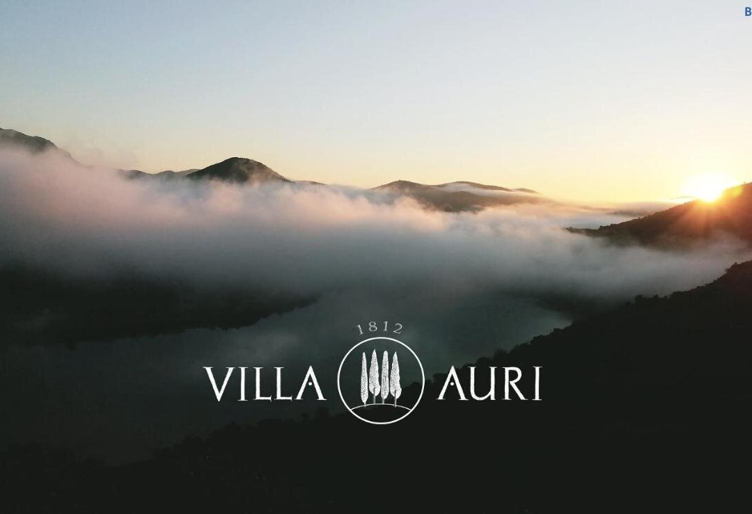 Villa Auri
