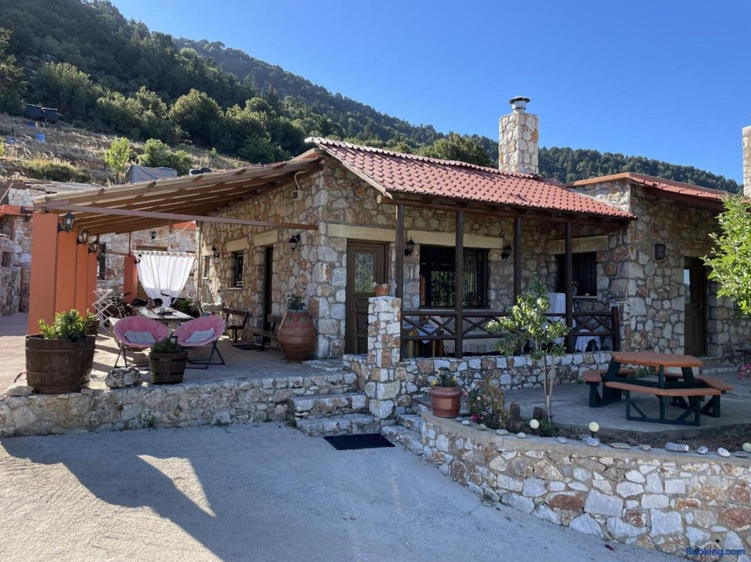 Mike Omalos Houses
