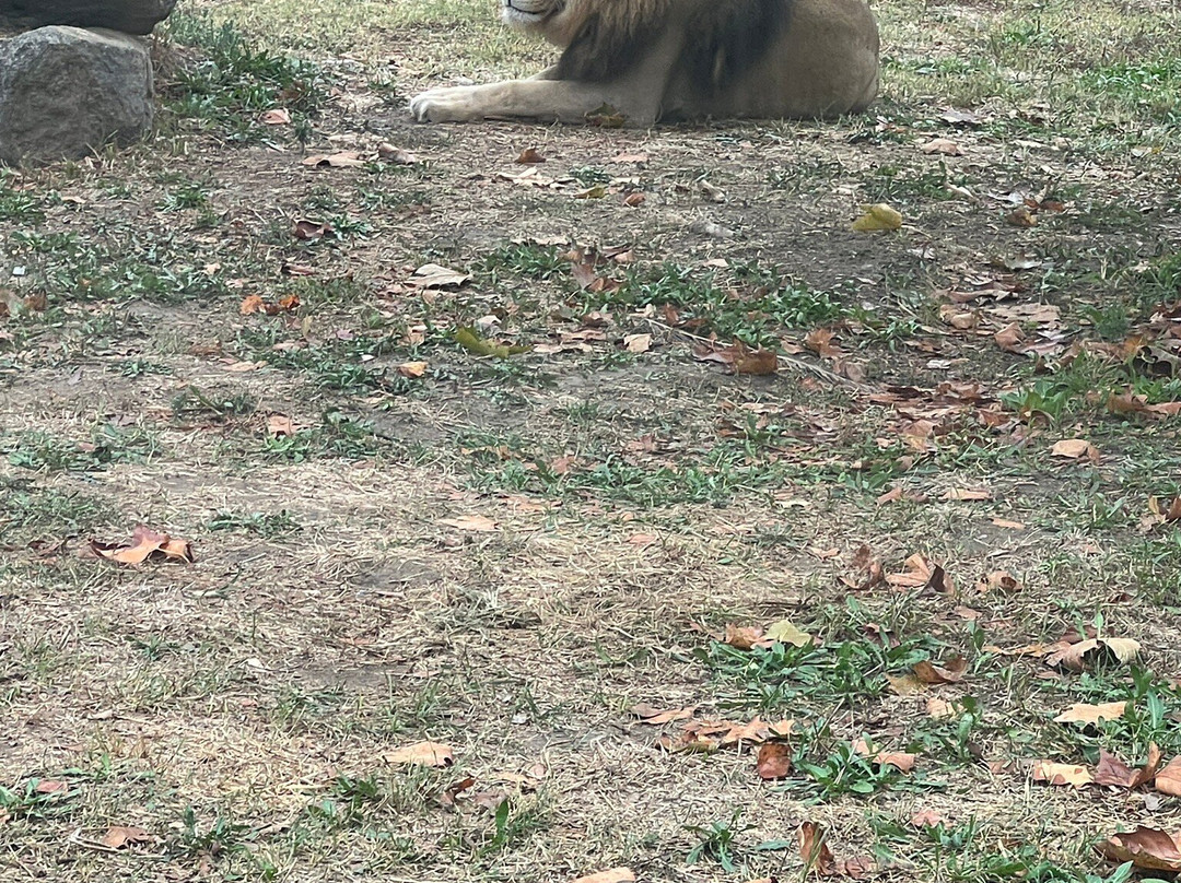 Izmir Wild Life Park景点图片