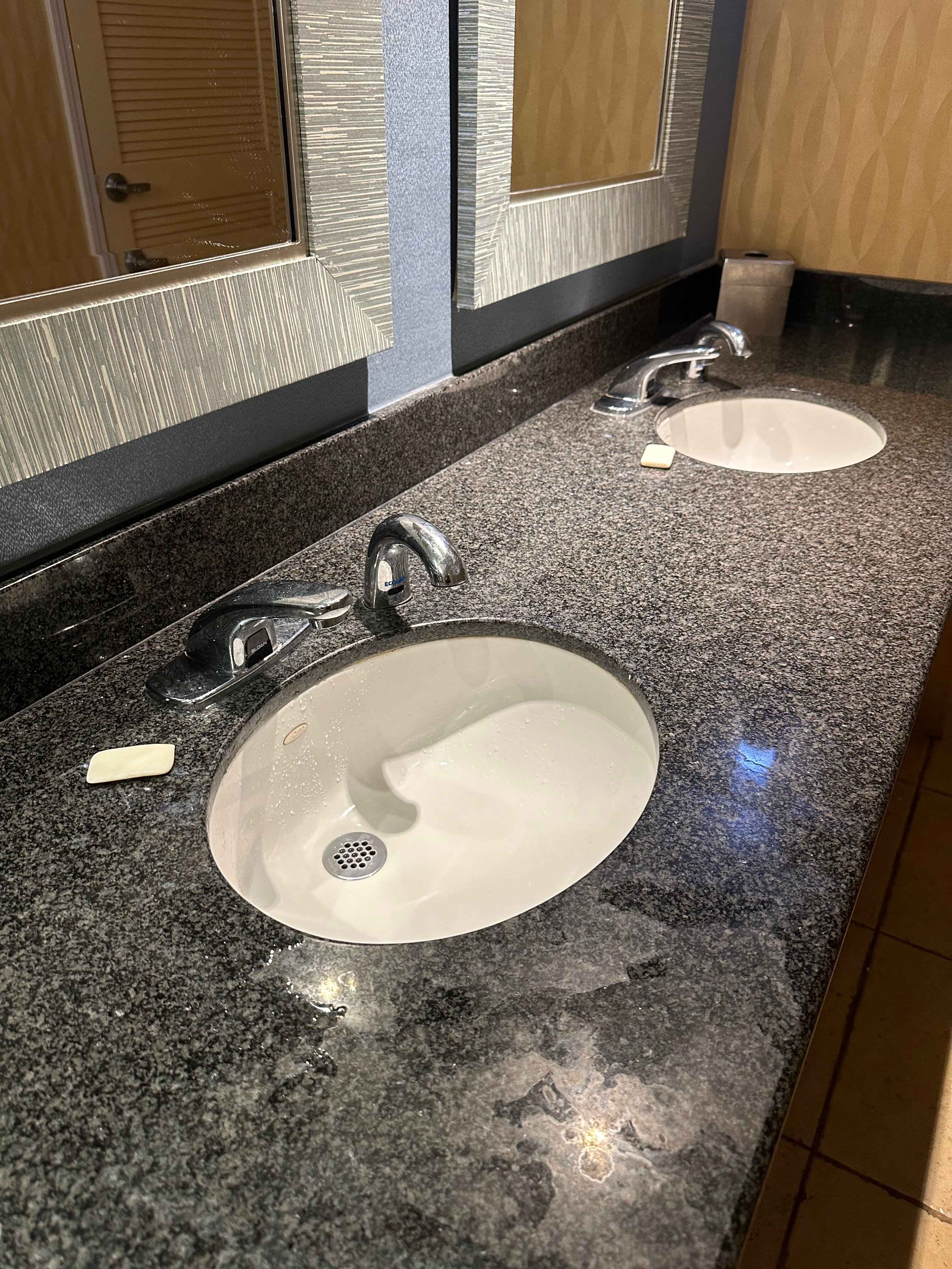 DoubleTree by Hilton Hotel Rochester-浴室