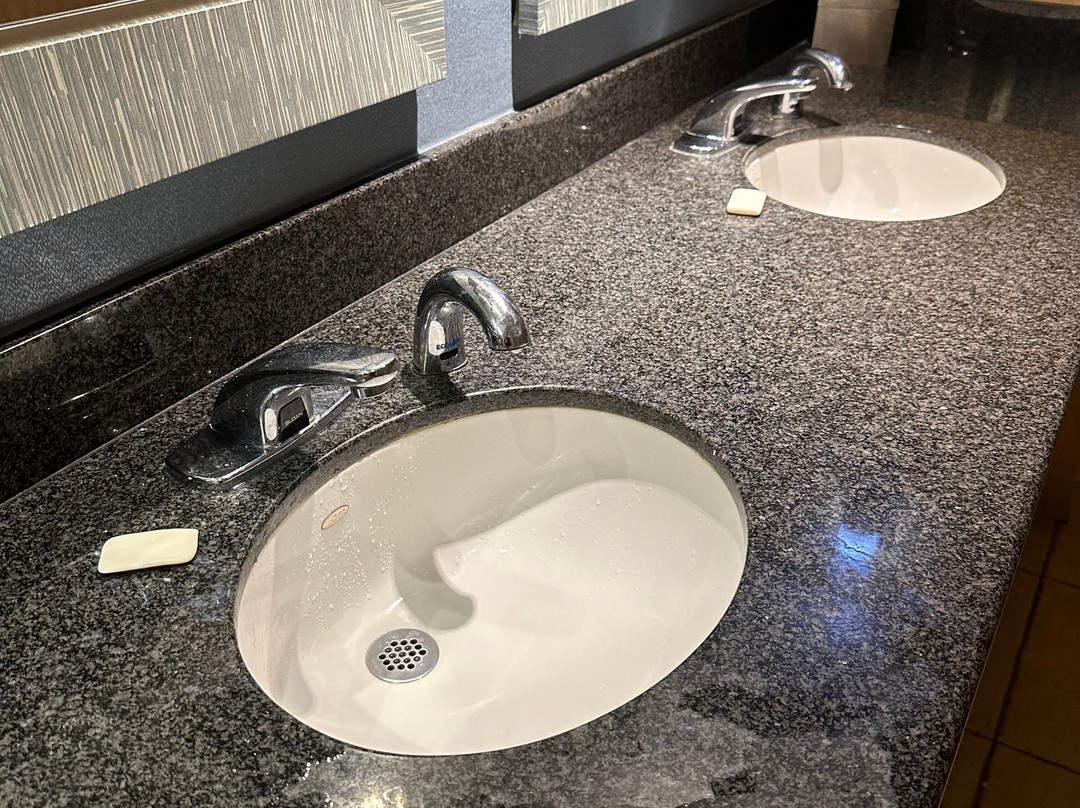 DoubleTree by Hilton Hotel Rochester主图