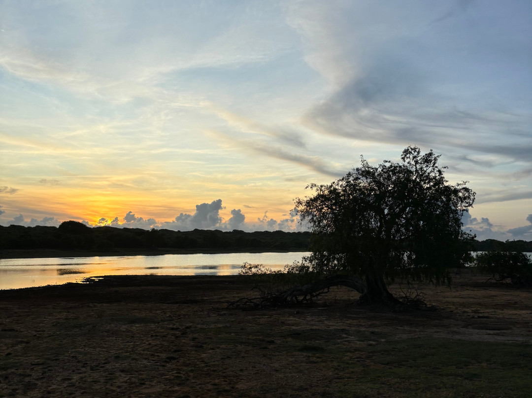 雅拉国家公园观赏野生动物-雅拉国家公园必去景点