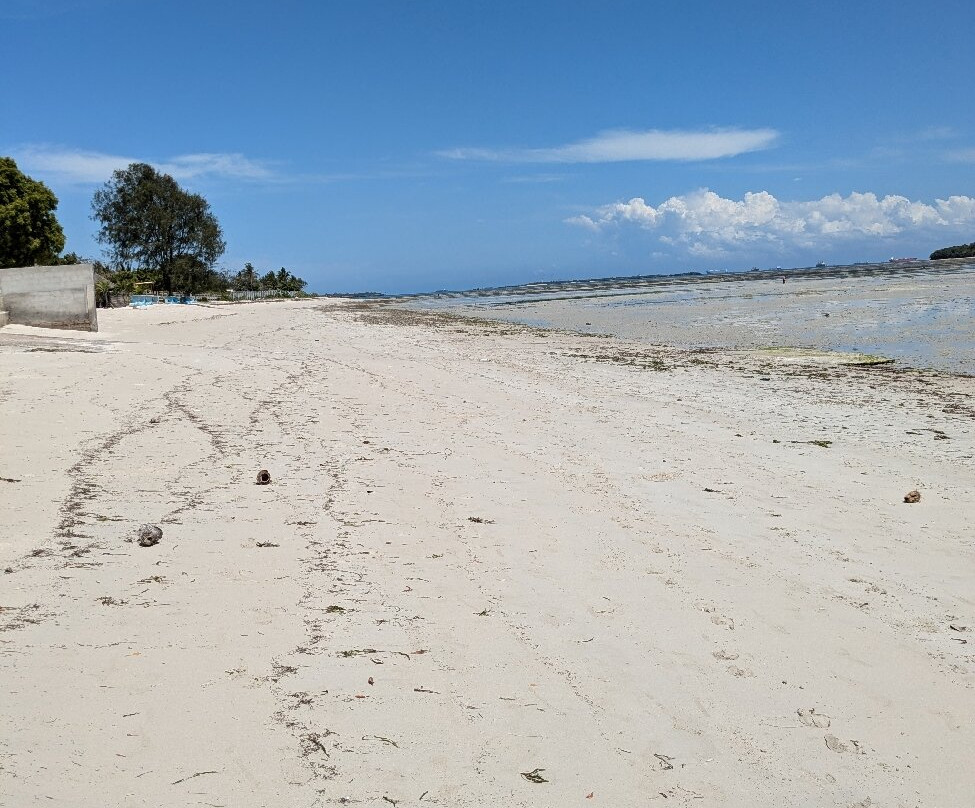 Kijiji Beach Resort主图